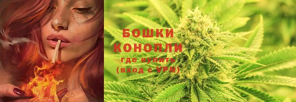 гидропоника Володарск