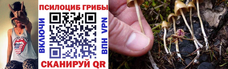 купить наркотик  Уссурийск  Псилоцибиновые грибы MAGIC MUSHROOMS 